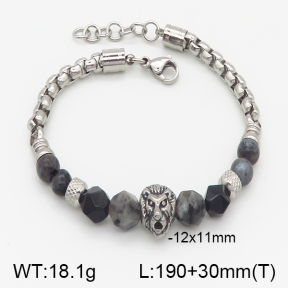 Stainless Steel Bracelet  5B4001316ahjb-741