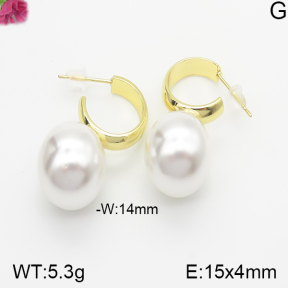 Fashion Earrings  F5E300277bbov-K69