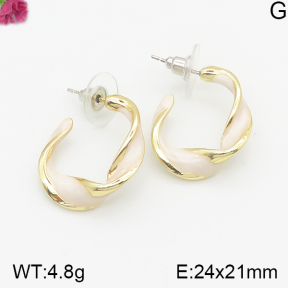 Fashion Earrings  F5E300284bbov-K69