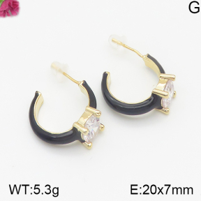 Fashion Earrings  F5E300285bhva-K69