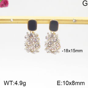 Fashion Earrings  F5E401017ahlv-K69