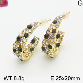Fashion Earrings  F5E401041vhha-K69