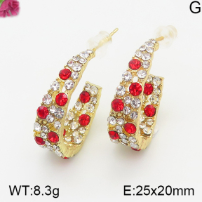 Fashion Earrings  F5E401043vhha-K69
