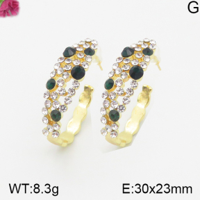 Fashion Earrings  F5E401044vhha-K69