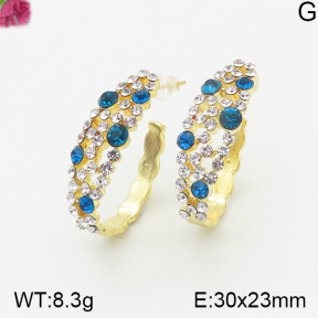 Fashion Earrings  F5E401045vhha-K69