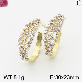 Fashion Earrings  F5E401046vhha-K69