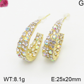 Fashion Earrings  F5E401047vhha-K69