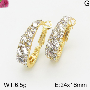 Fashion Earrings  F5E401050vhha-K69