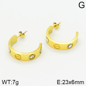 SS Earrings  TE2000209vbnb-434