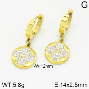 SS Earrings  TE2000214bhia-743