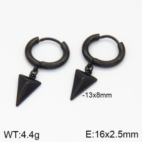 Stainless Steel Earrings  2E2001159bvlm-256