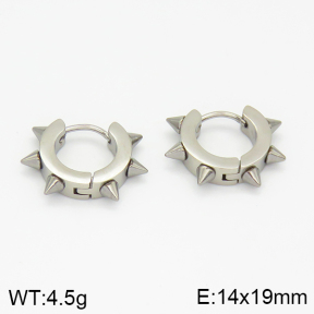 Stainless Steel Earrings  2E2001167ablb-256