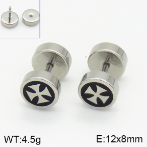 Stainless Steel Earrings  2E3000944aakm-256