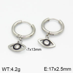 Stainless Steel Earrings  2E4001589ablb-256