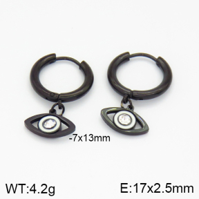 Stainless Steel Earrings  2E4001590bvlm-256