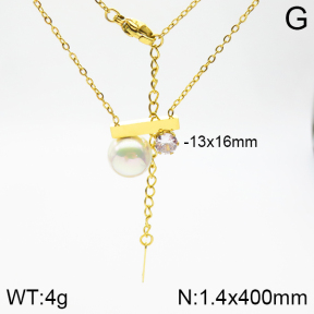 Stainless Steel Necklace  2N4001240bbml-478