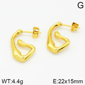 Stainless Steel Earrings  2E2001177vajj-689