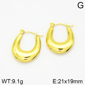 Stainless Steel Earrings  2E2001181vajj-689