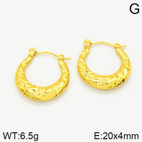 Stainless Steel Earrings  2E2001186vajj-689