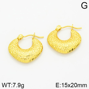 Stainless Steel Earrings  2E2001188vajj-689