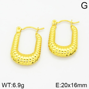 Stainless Steel Earrings  2E2001189vajj-689