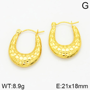 Stainless Steel Earrings  2E2001190vajj-689