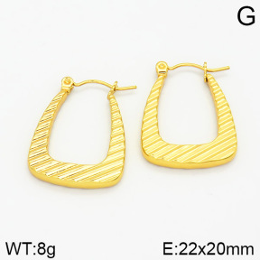 Stainless Steel Earrings  2E2001191vajj-689