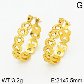 Stainless Steel Earrings  2E2001192vajj-689