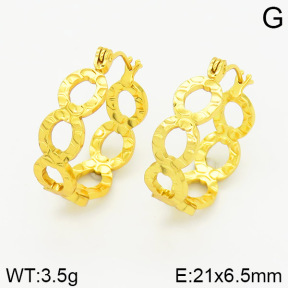 Stainless Steel Earrings  2E2001194vajj-689