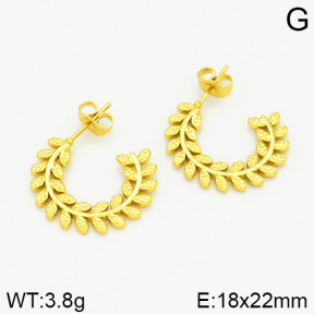 Stainless Steel Earrings  2E2001195vajj-689