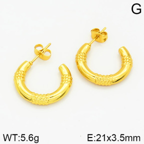 Stainless Steel Earrings  2E2001197vajj-689