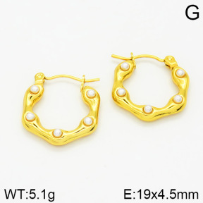 Stainless Steel Earrings  2E3000953aajo-689