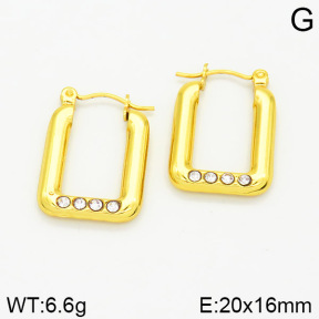 Stainless Steel Earrings  2E4001592aajo-689