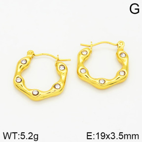 Stainless Steel Earrings  2E4001593aajo-689