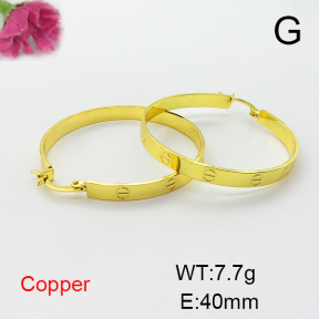 Fashion Copper Earrings  F6E200042bbov-L017