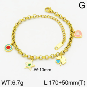 Stainless Steel Bracelet  2B3001207bhva-669