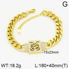 Stainless Steel Bracelet  2B4001875bvpl-434