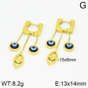 Stainless Steel Earrings  2E3000954vbpb-434