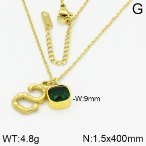 Stainless Steel Necklace  2N3000775vbpb-669
