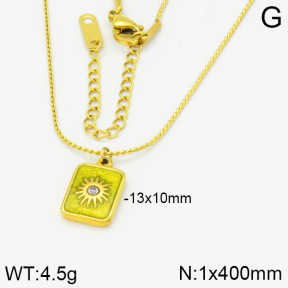 Stainless Steel Necklace  2N3000776abol-669