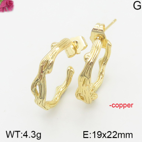 Fashion Copper Earrings  F5E200192vbnb-J40