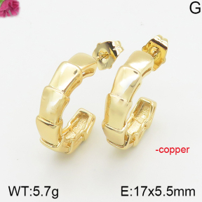 Fashion Copper Earrings  F5E200198bbov-J40