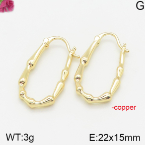 Fashion Copper Earrings  F5E200199vbmb-J40
