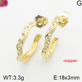 Fashion Copper Earrings  F5E200202vbnb-J40