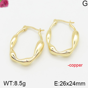 Fashion Copper Earrings  F5E200212bbov-J40