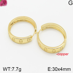 Fashion Copper Earrings  F5E200228bhva-J40
