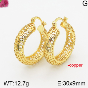 Fashion Copper Earrings  F5E200232bhva-J40