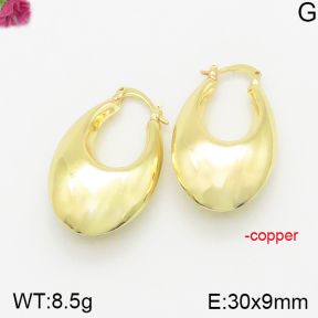 Fashion Copper Earrings  F5E200249vhha-J40