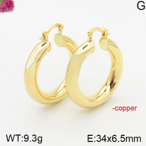 Fashion Copper Earrings  F5E200256bhva-J40