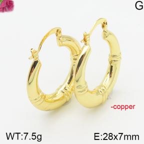 Fashion Copper Earrings  F5E200259bhva-J40